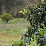 Casa Da Tia Dulce