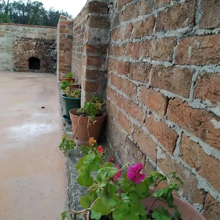 Casa Da Tia Dulce Pataias