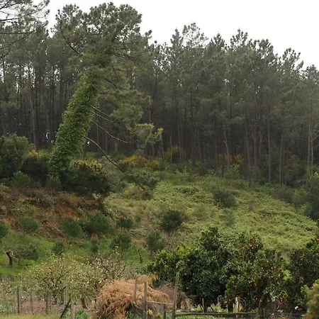 Casa Da Tia Dulce Nyaraló Pataias