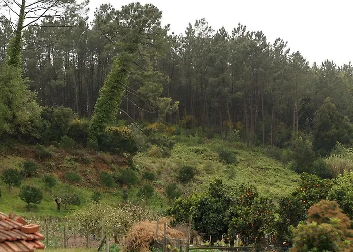 Casa Da Tia Dulce Holiday home Pataias